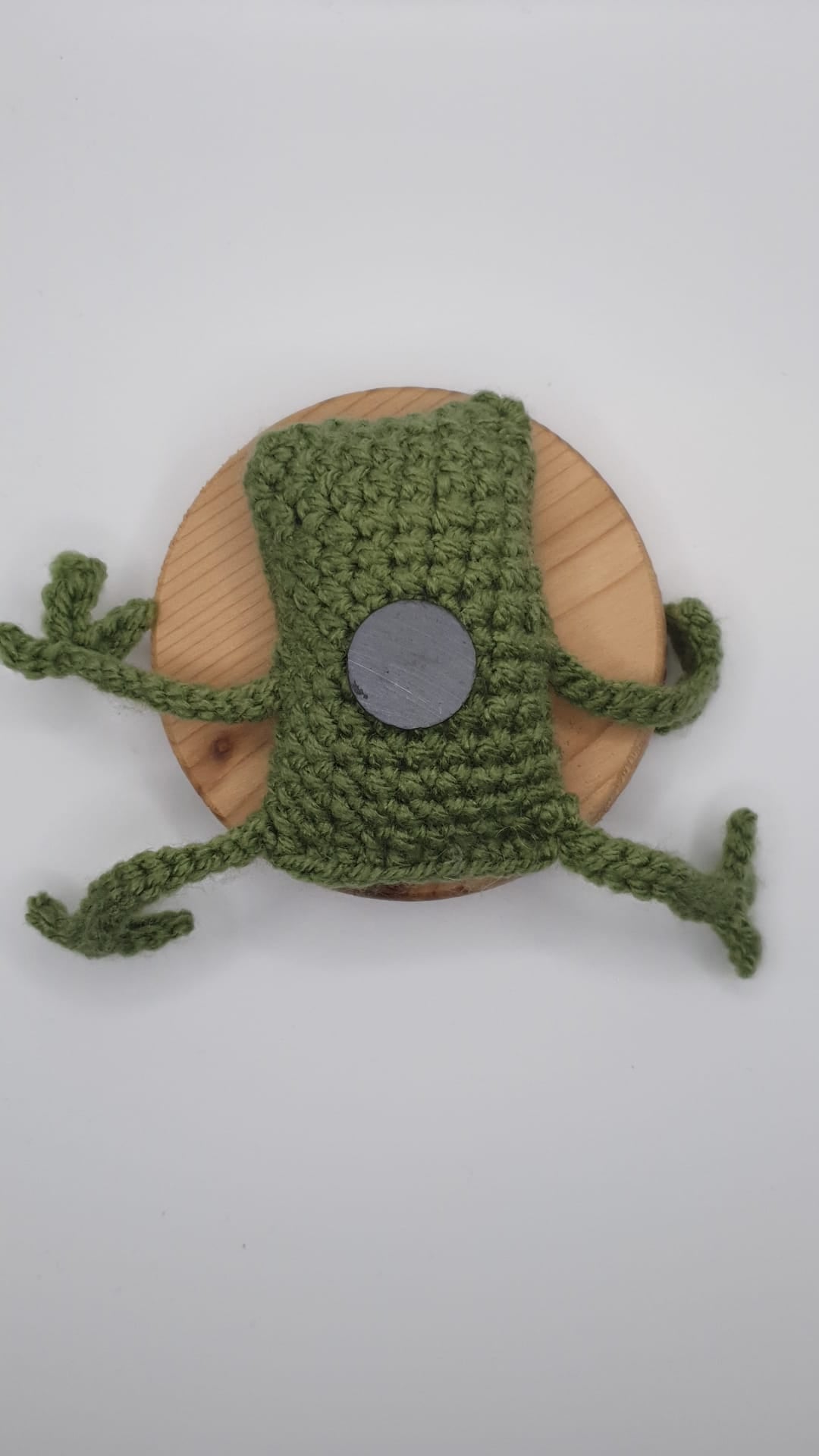 Frog Magnets